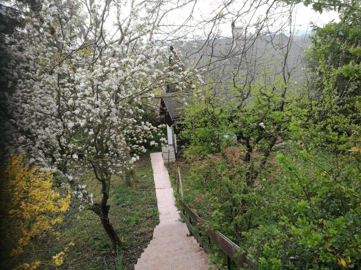 Apartamento Sunset House Piestany Cervena Veza Banka Exterior foto